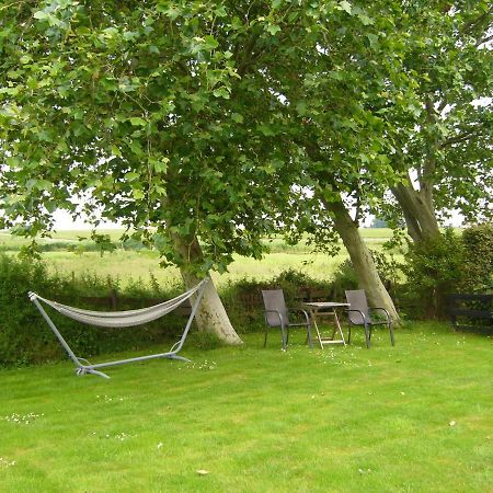 De Stjelp Pleats Bed and Breakfast Lemmer Exteriör bild